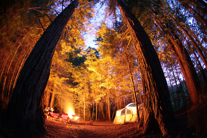 Tents and a campfire while camping under giant trees and the night sky in Redwoods National Park.