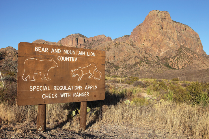 Bear and mountain lion warning sign in Big Bend National Park