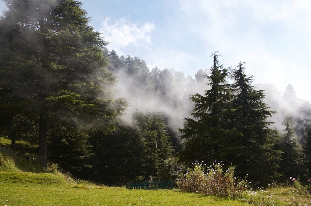 The clouds sliding down Himalaya mountains Dalhousie