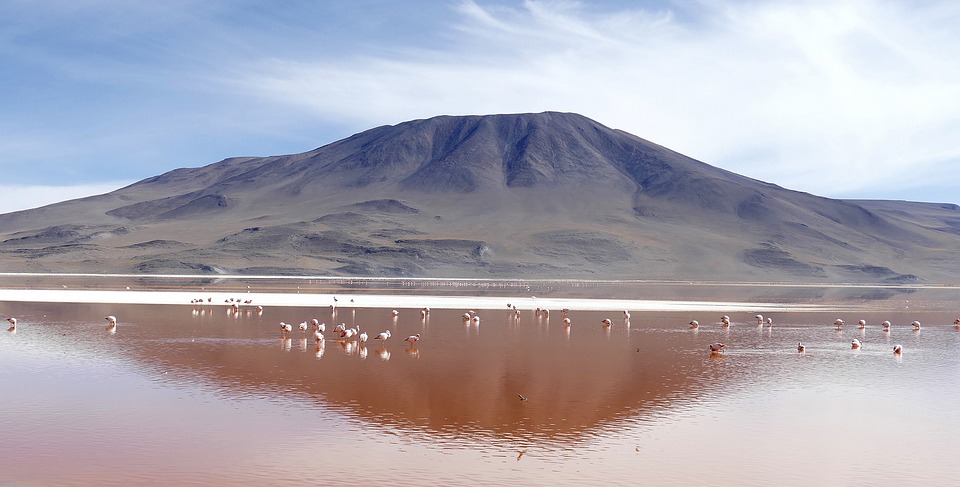 Laguna Colorada pink lakes