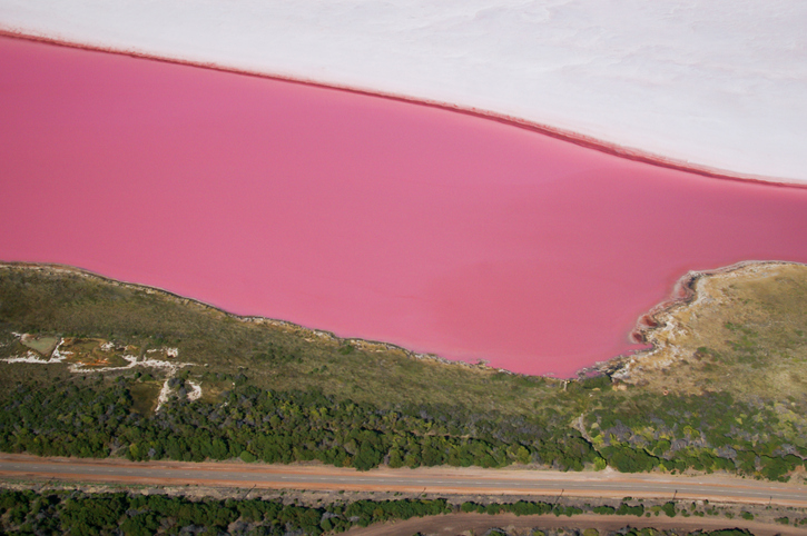 Pink Lake (Hutt Lagoon, Western Australia)