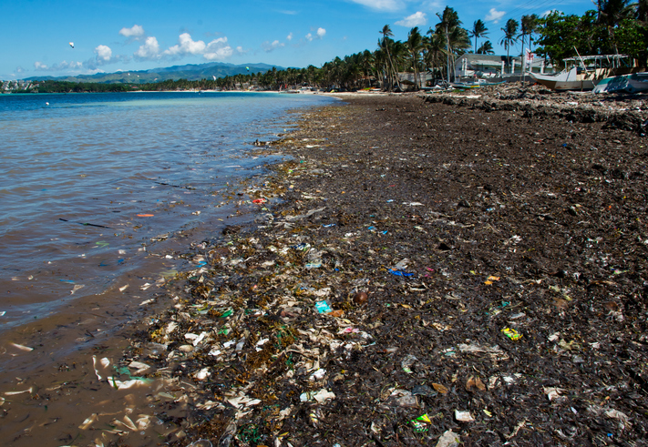 Beach pollution