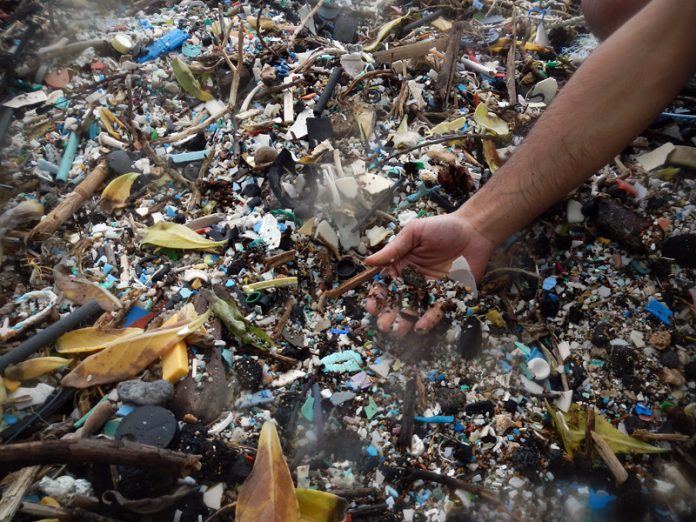 Beach Pollution