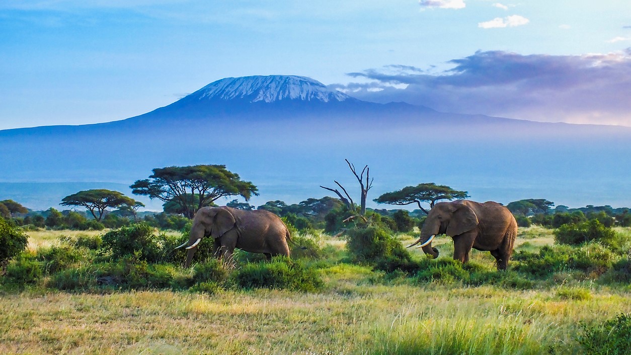 Mt Kilimanjaro, Tanzania