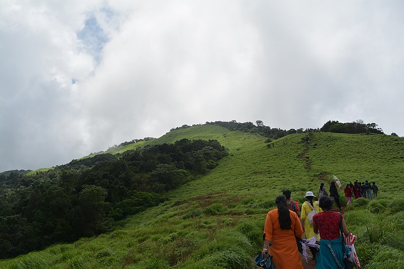 trekking in Chikmagalur 