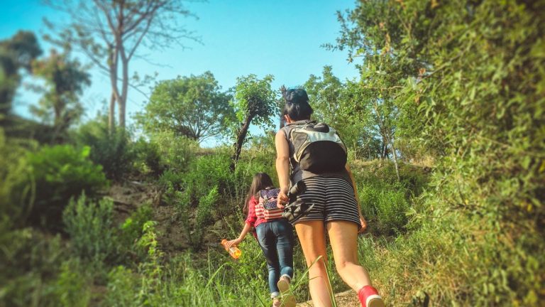 Summer In South India: 10 Places To Go Trekking