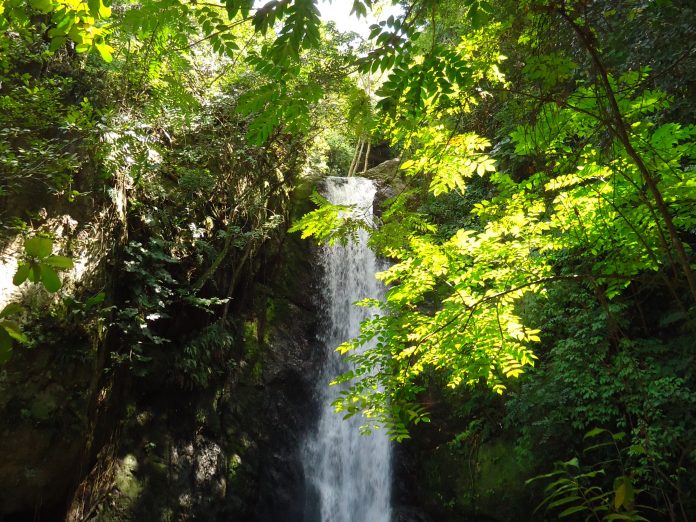 Cascada Parque Los Chorros (Caracas)