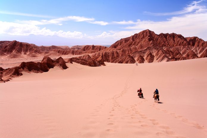 Riding Horse, Vale de la Luna - Atacama Desert, Chile