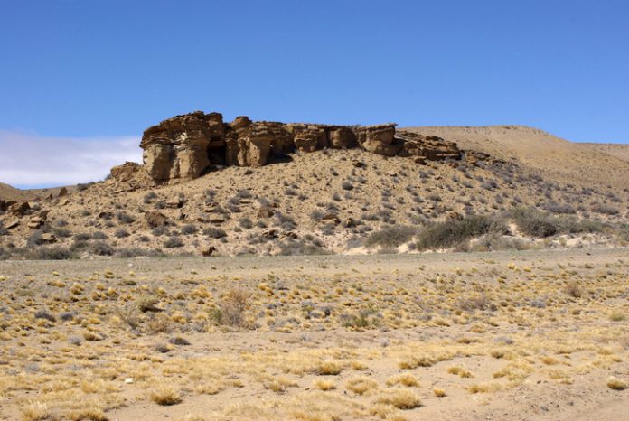 Landscape in the pampas of Patagonia, in Argentina