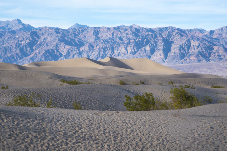 Mesquite Flat Sand Dunes