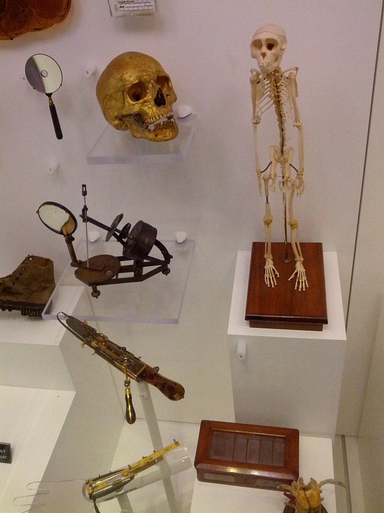 National Museum of Health & Medicine Display Case