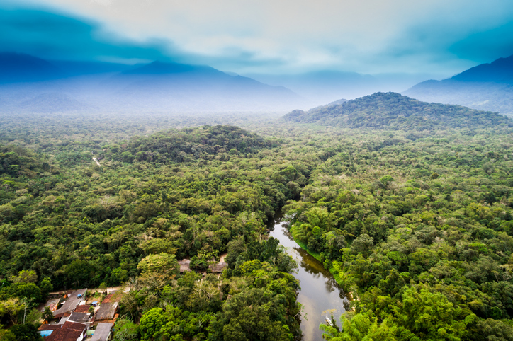 Amazon, the largest forest in the world