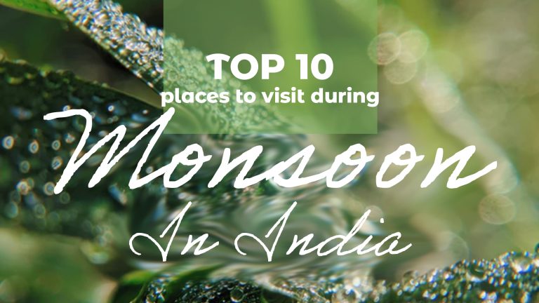 Top 8 Places To Visit During The Monsoon In India