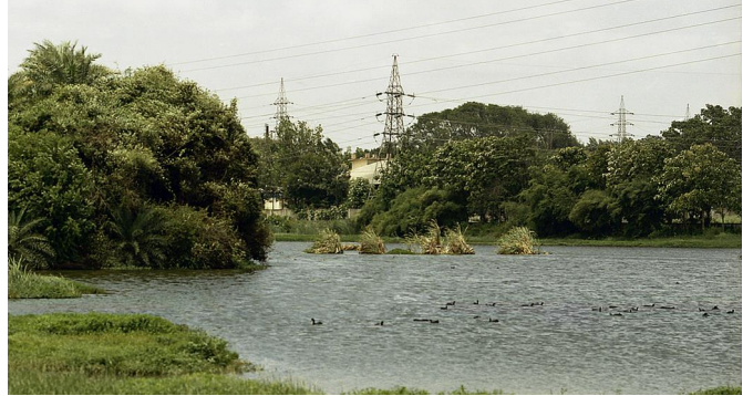 The Yelahanka-Puttenahalli lake conservation