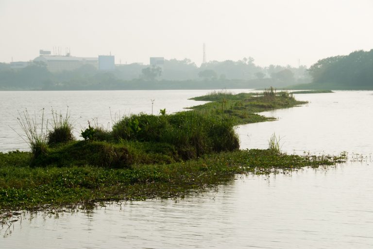 15 Of The Best Lakes In Bangalore To Visit