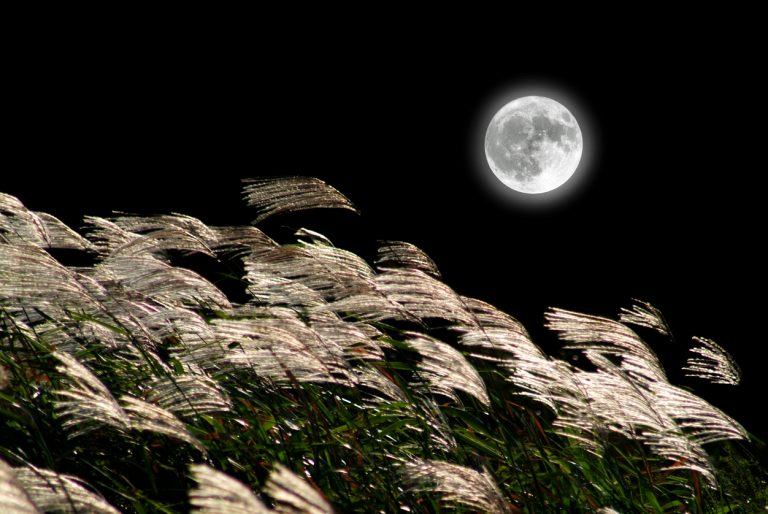 Tsukimi: Japan’s Moon-Viewing Festival Takes Place This Month
