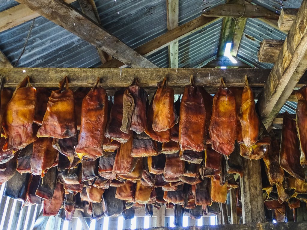 Specialty of iceland called hakarl fermented shark in open warehouse