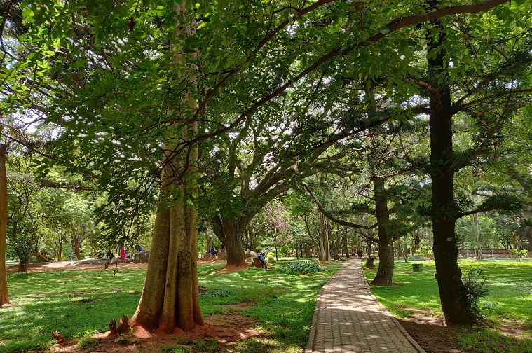 Bangalore Cubbon Park