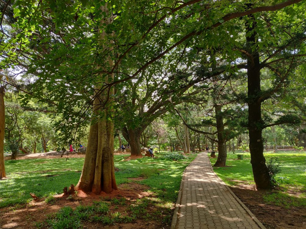 Cubbon-Park-Bangalore, places to visit in south india