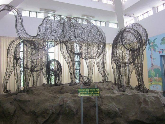 Mysore_Natural_History_Museum_Main
