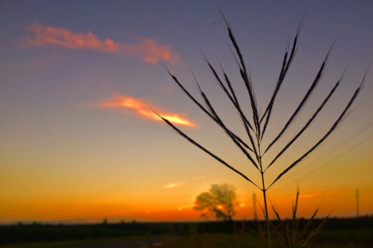 Visiting Marloth Park – South Africa’s Hidden Gem