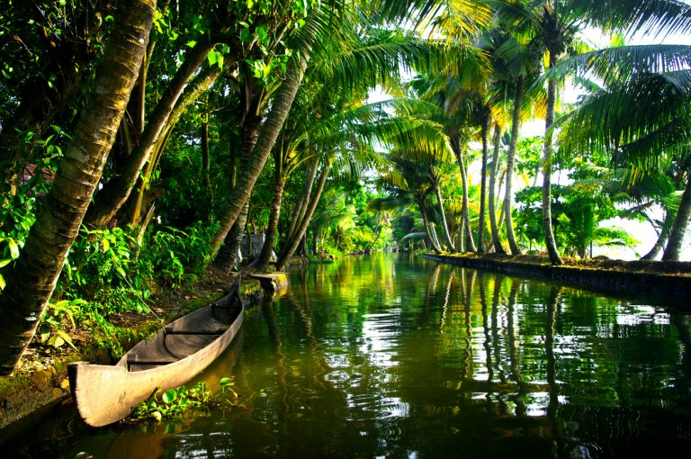 Why Visit Kerala? | Top 10 Reasons | Things To Do |