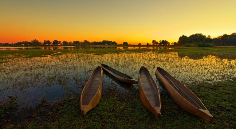 Explore The Many Wonderful Things To Do In Botswana
