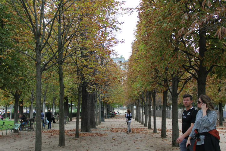 Day in Paris