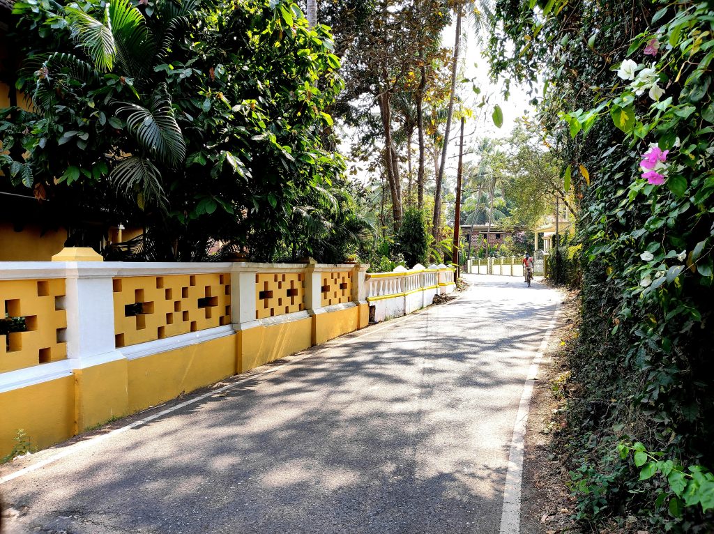 A road in a village in Goa