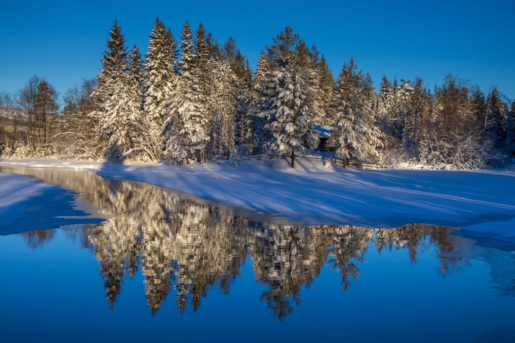 Landscape of a Winter Wonderland