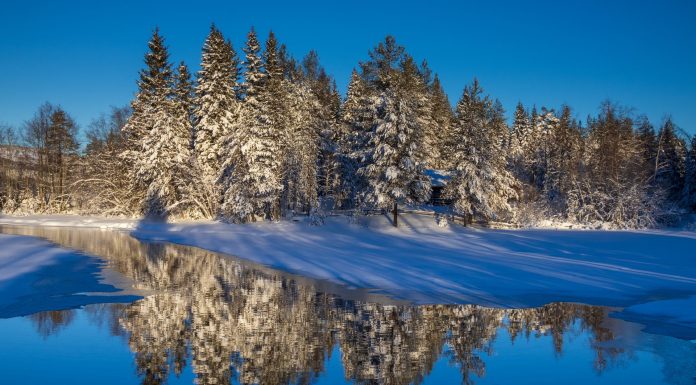 Landscape of a Winter Wonderland, (Image Source: Pexels) Landscape of a Winter Wonderland