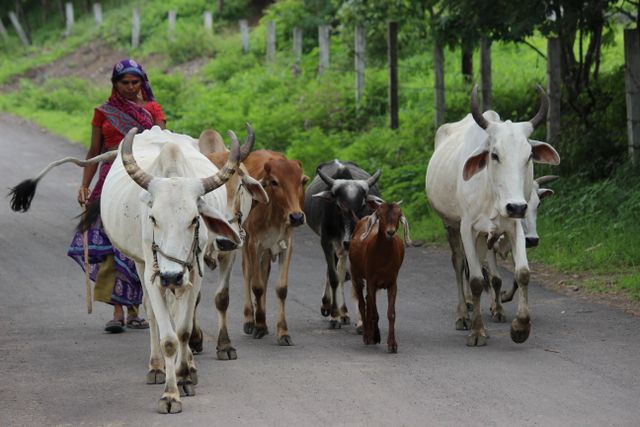 Khotachiwadi village