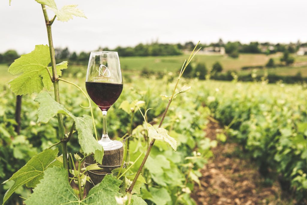 Best vineyards in India