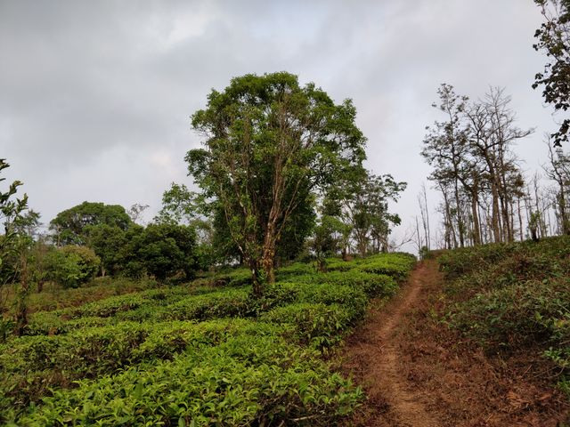 Raxidi Estate