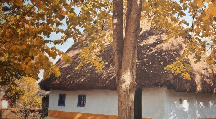 Heritage Village, (Image Source: Pexels) Hasta Shilpa Heritage Village