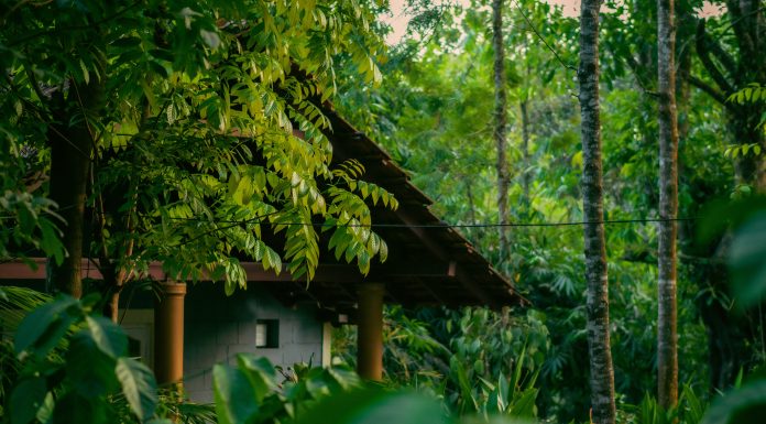 Coorg (Image Source: Unsplash) Coorg