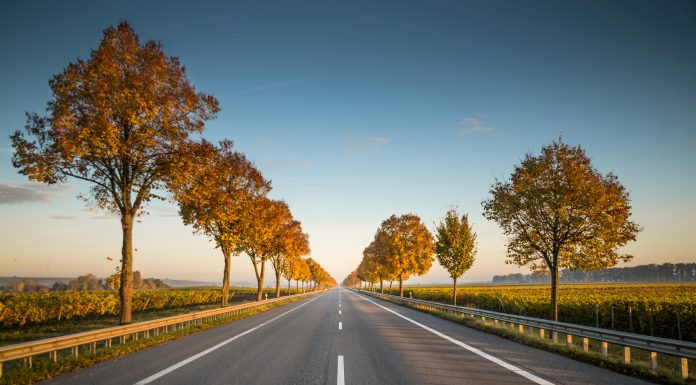 Road Trip From Bangalore, (Image Source: Unsplash) Road Trip From Bangalore