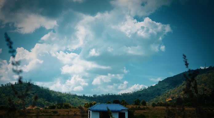 Comfortable And Cheap Homestays In Mysore (Image Source: Unsplash) Comfortable And Cheap Homestays In Mysore