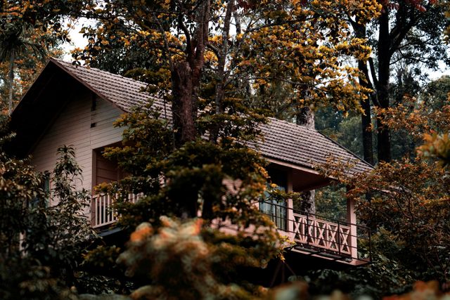 Homestays In Madikeri