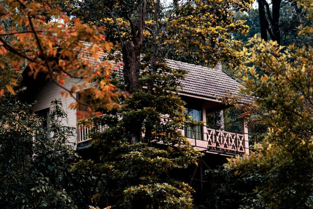 Charming treehouse surrounded by lush fall foliage