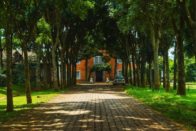 Homestay