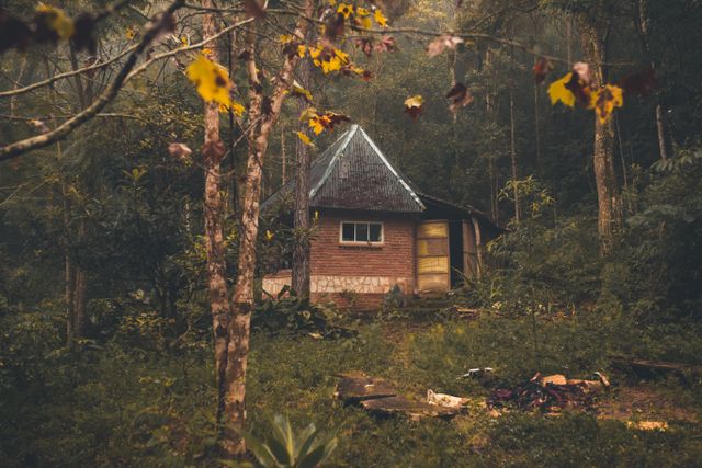 Charming rustic cabin nestled in lush forest, perfect for nature retreats