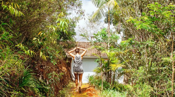 Homestays In Coorg, (Image Source: Pexels) Homestays In Coorg