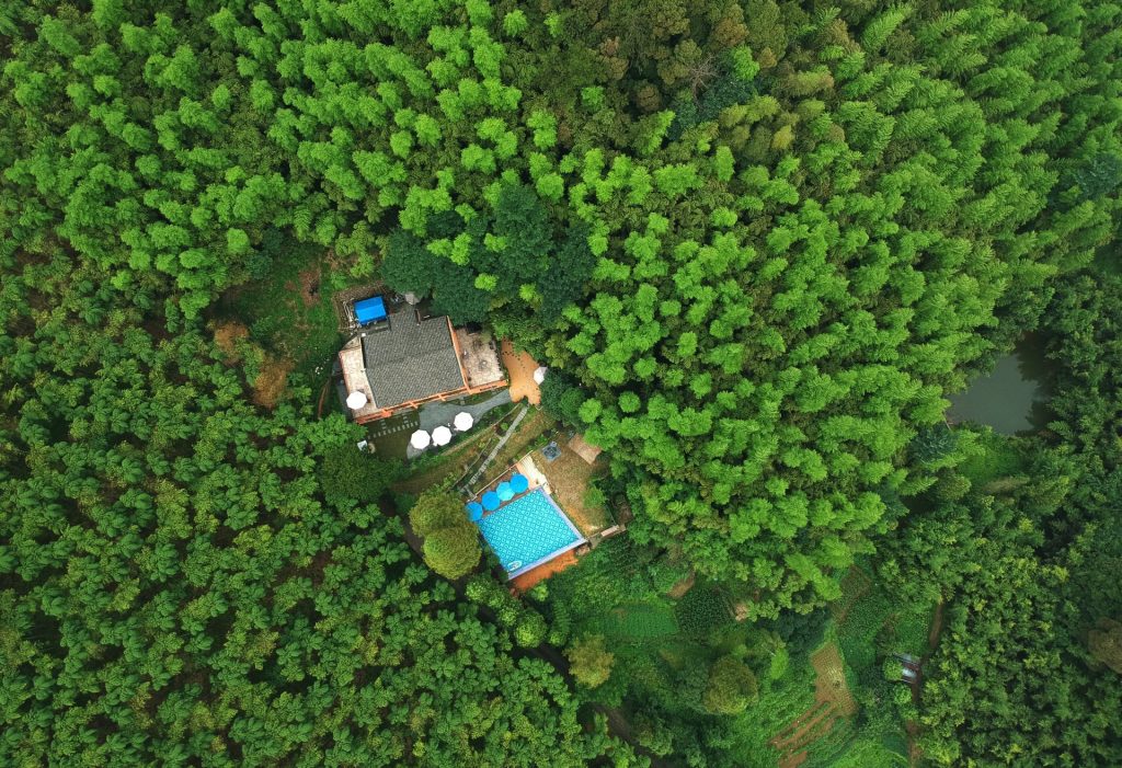 resorts in wayanad