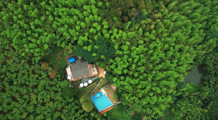 homestays in chikmagalur, (Image Source: Pexels) homestays in chikmagalur