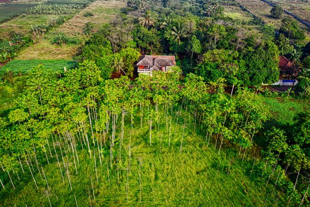 best Homestay