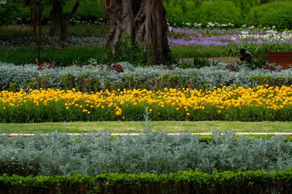 Vibrant garden with yellow and purple flowers