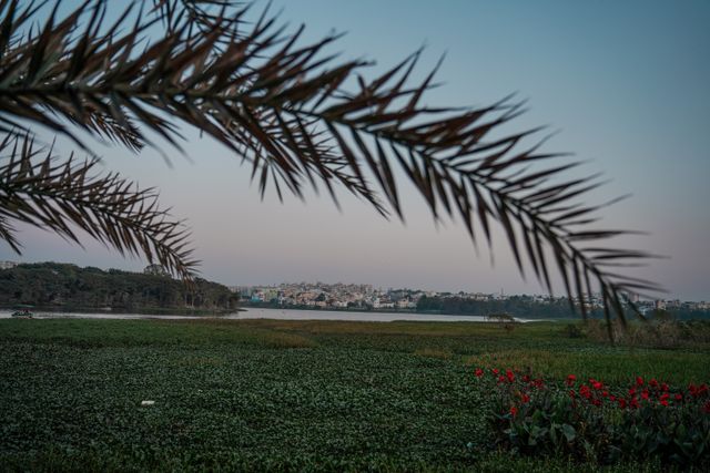 madivala lake
