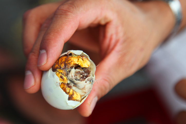 A fertilized chicken egg Asian delicacy.