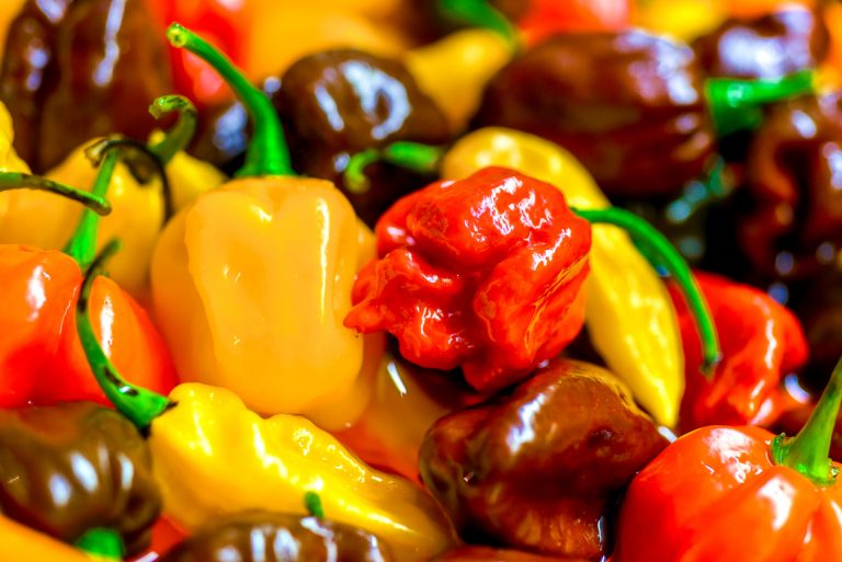 Hottest Chillies In The World That Are Insanely Spicy